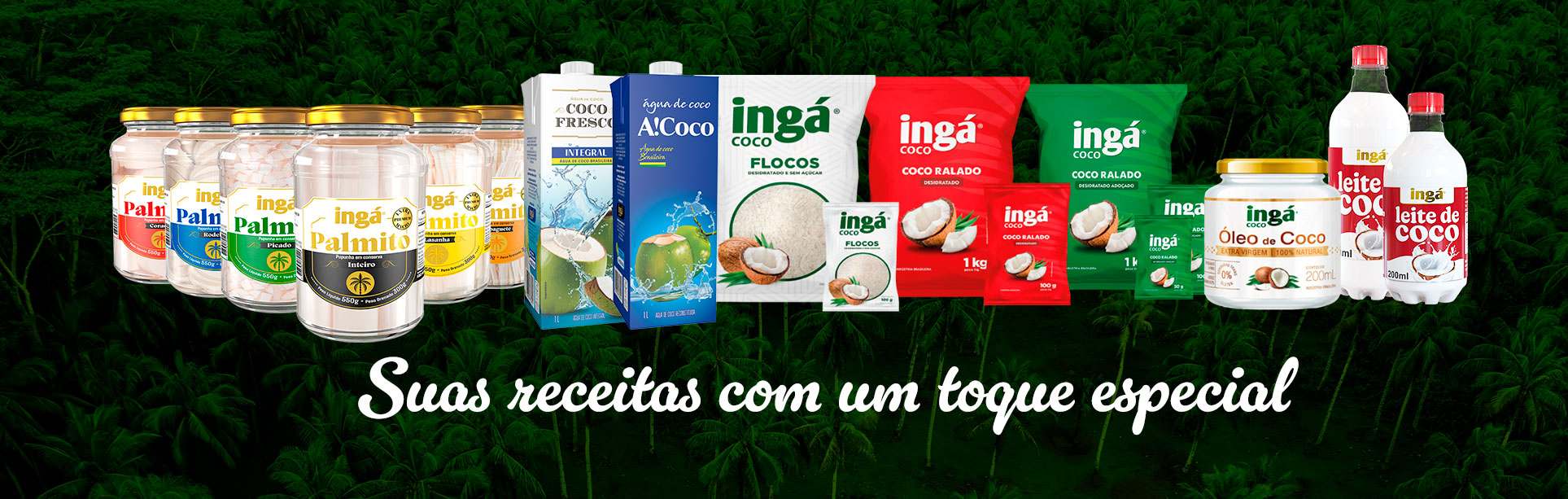CAPAS-INGA